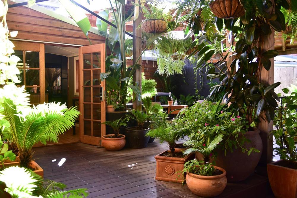 Macleay Cottage With Plunge Pool And Local Arts Dubbo Eksteriør bilde